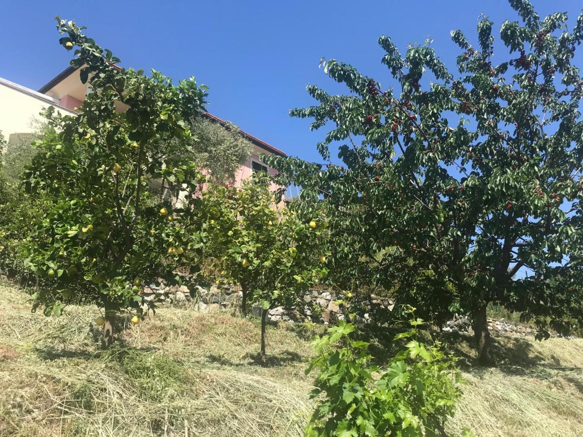 Villa Teresa 카사르자리구레 외부 사진