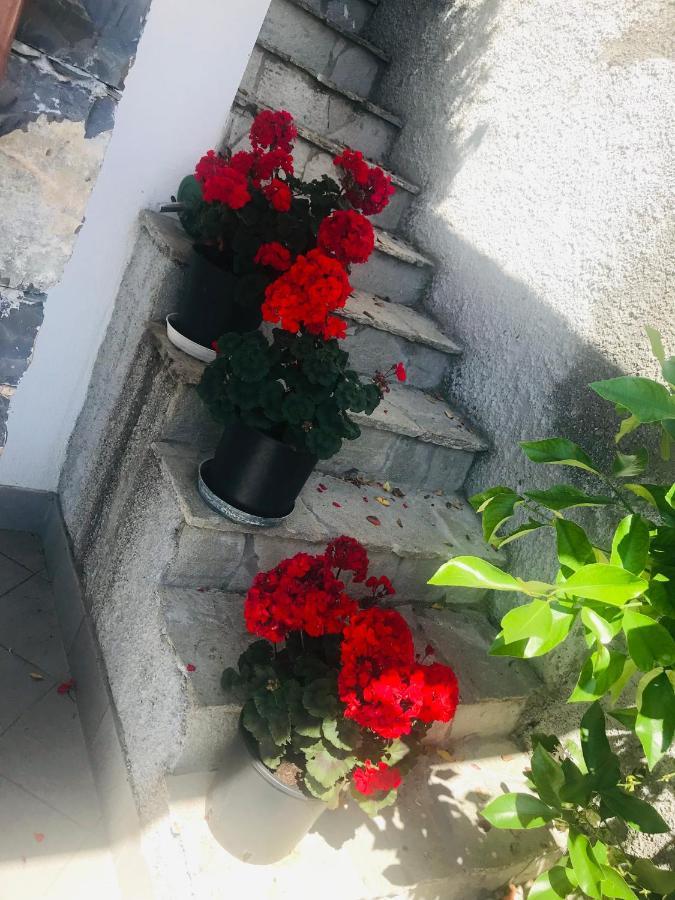 Villa Teresa 카사르자리구레 외부 사진