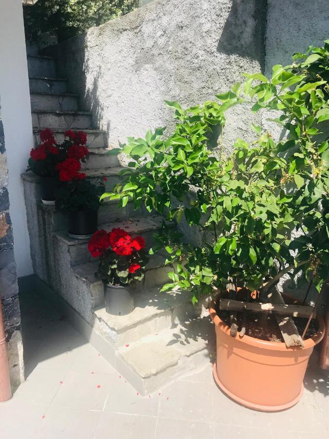 Villa Teresa 카사르자리구레 외부 사진